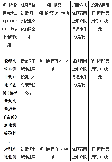 景德鎮(zhèn)市昌南新區(qū)LJ1-03-A01-1地塊、瓷都大道東側(cè)中渡口地下空間（格蘭云天大酒店地下空間）、光明大道北側(cè)利民路西側(cè)地下空間（青少年宮地下空間）、規(guī)劃二路北側(cè)地下空間地塊二（加速基地地下空間）、規(guī)劃二路北側(cè)地下空間地塊一（加速基地地下空間）、景德大道南側(cè)天寶橋西側(cè)地塊、景興大道東側(cè)如意路北側(cè)地下空間(社會公共服務(wù)