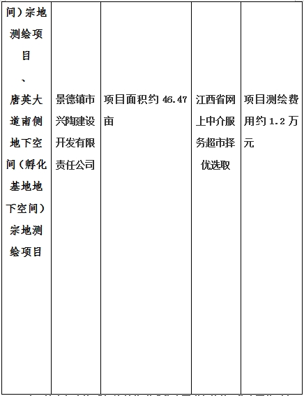 景德鎮(zhèn)市昌南新區(qū)LJ1-03-A01-1地塊、瓷都大道東側(cè)中渡口地下空間（格蘭云天大酒店地下空間）、光明大道北側(cè)利民路西側(cè)地下空間（青少年宮地下空間）、規(guī)劃二路北側(cè)地下空間地塊二（加速基地地下空間）、規(guī)劃二路北側(cè)地下空間地塊一（加速基地地下空間）、景德大道南側(cè)天寶橋西側(cè)地塊、景興大道東側(cè)如意路北側(cè)地下空間(社會公共服務(wù)